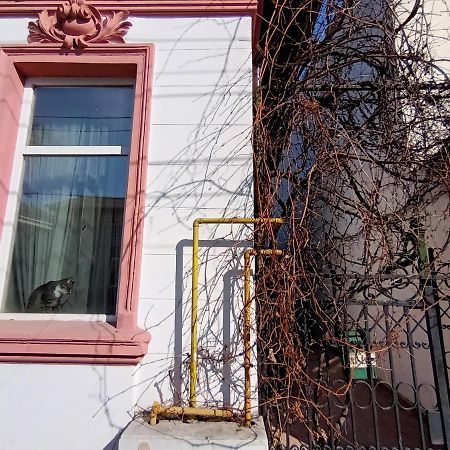 Casa Liveni Apartman Bukarest Kültér fotó