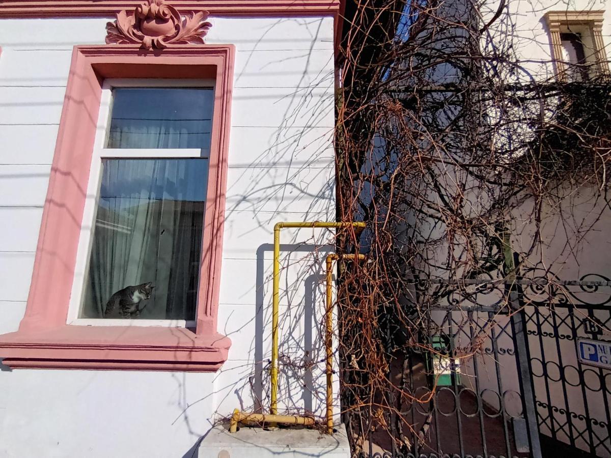 Casa Liveni Apartman Bukarest Kültér fotó