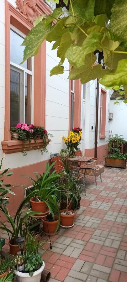 Casa Liveni Apartman Bukarest Kültér fotó